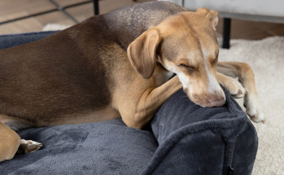 Ортопедичне ліжко для собак 4L Textil IRIS Premium-LINE, рожеве (80x60 см)