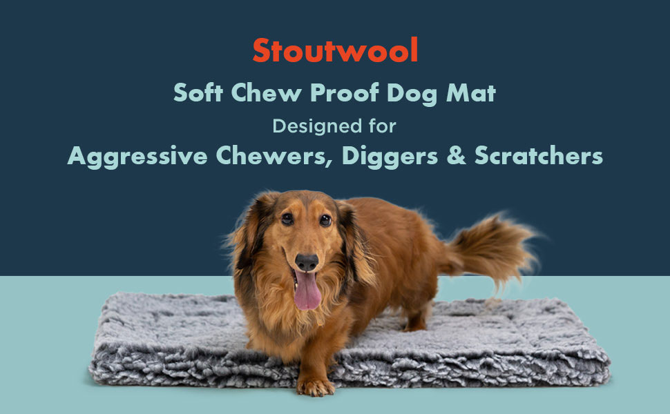 Міцне ліжко для собак Stoutwool - стійке до гризіння, для маленьких порід, 58x41x5 см, сірий