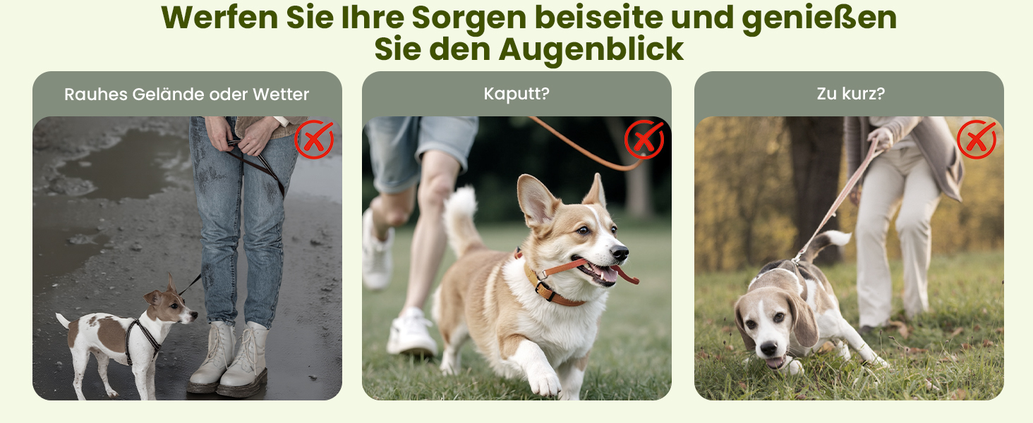 Рулетка для собак Pecute 8м, бічна, з набором для збору відходів, 10-50 кг, зелена