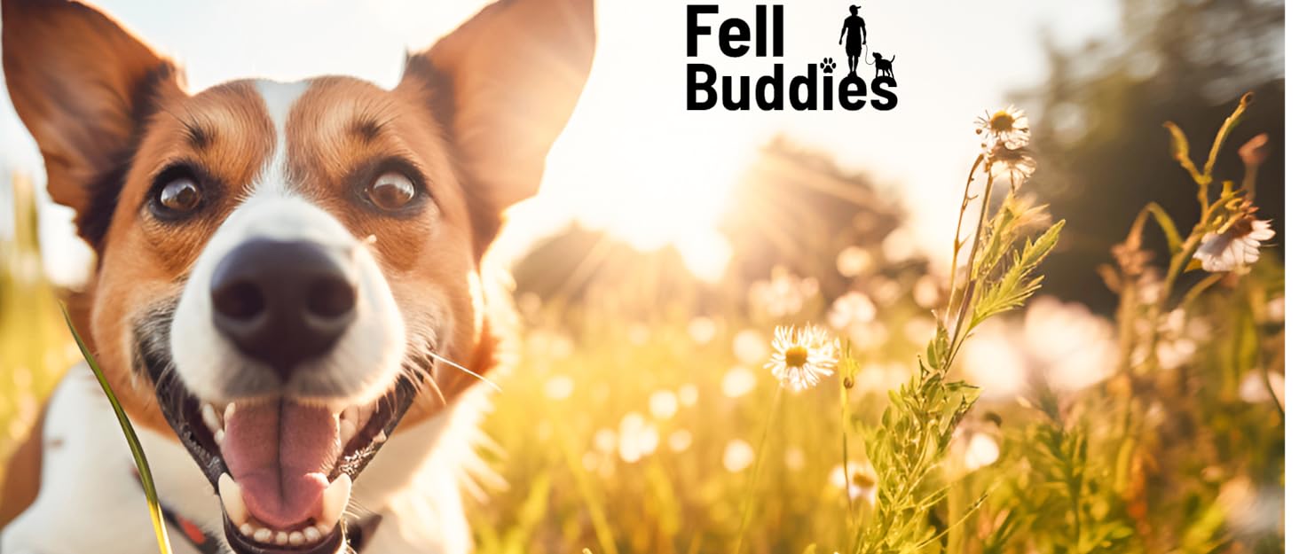 Професійна щітка для собак Zupfbürste: розплутування та догляд за шерстю | Зручне розчісування