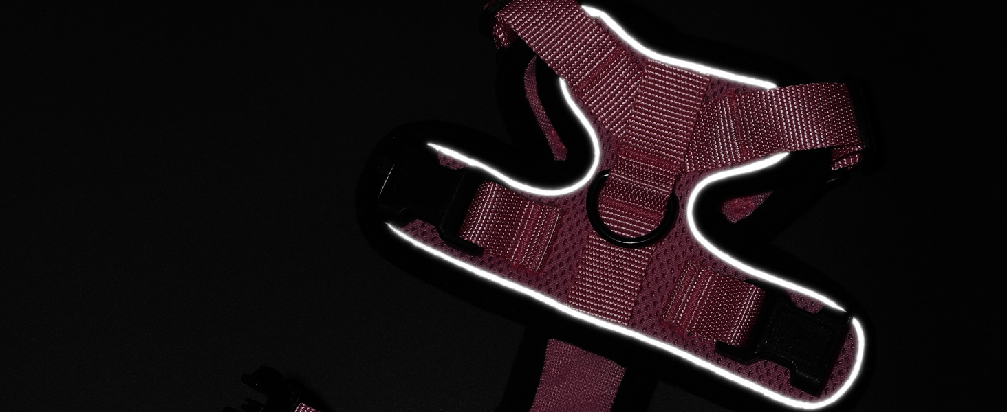 Шлейка для кота Rabbitgoo з повідком, м'яка шлейка для кота, шлейка-жилет для кота, безпечна та регульована, рожева, XS (1 шт.)