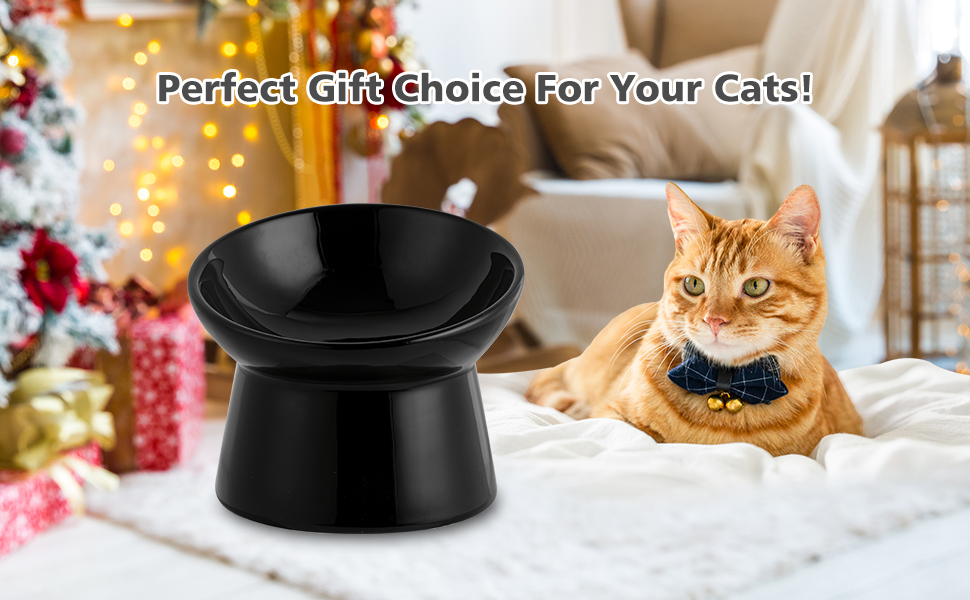 Котло propositions: Keramічний годівниця для котів з підняттям - запобігання блювоті, 15° нахил, 280 мл, білий