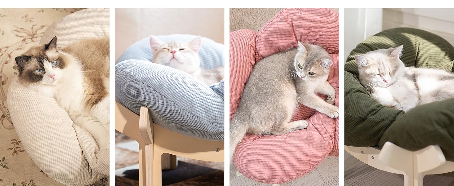 Кігтечка для котів CheerPals: зручне ліжко-стілець з м'яким подушками, 55х55 см, білий (світло-блакитний)