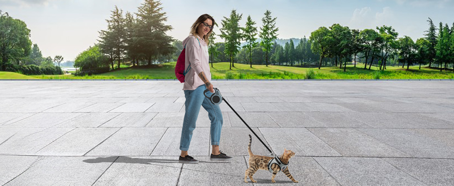 Нашийник для котів Bindokun з повідком, анти-вислизання, комплект, розмір M, сірий