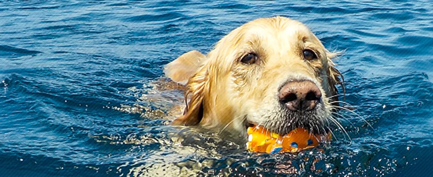 Світловідбиваюча жилет для плавання собак Kajile, зелений, M
