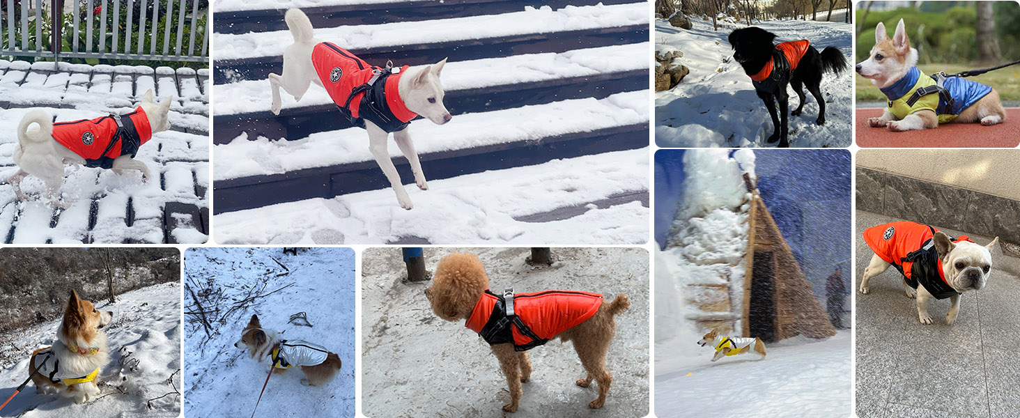 Водонепроникна зимова куртка для собак та котів SMALLLEE_LUCKY_STORE, оранжевого кольору, розмір M