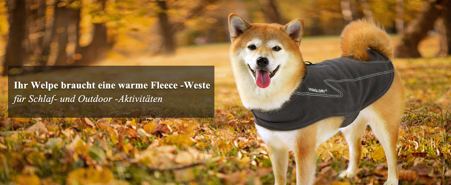 Тепла куртка VIVAGLORY для собак на зиму, флісова жилетка з застібкою-липучкою та отвором для повідка, світловідбиваюча, регульована, S, Бежевий