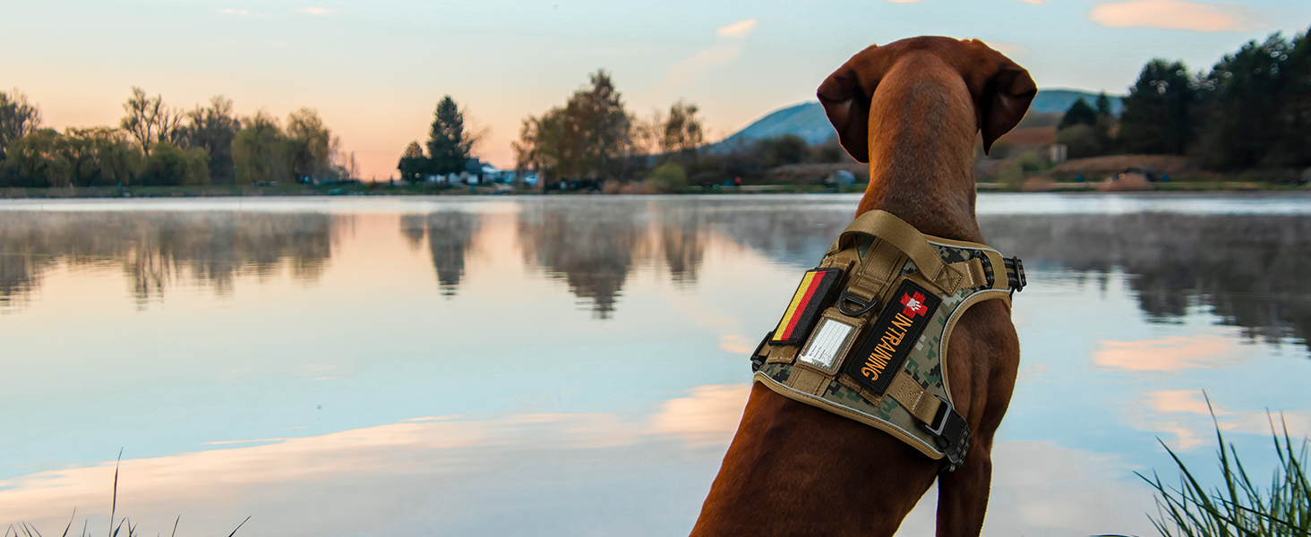 Нашийник для собак Rabbitgoo середнього розміру, анти-тяговильний, регульований з ручкою, міцний, з металевими пряжками, для піших прогулянок (M, L), камуфляжний, коричневий