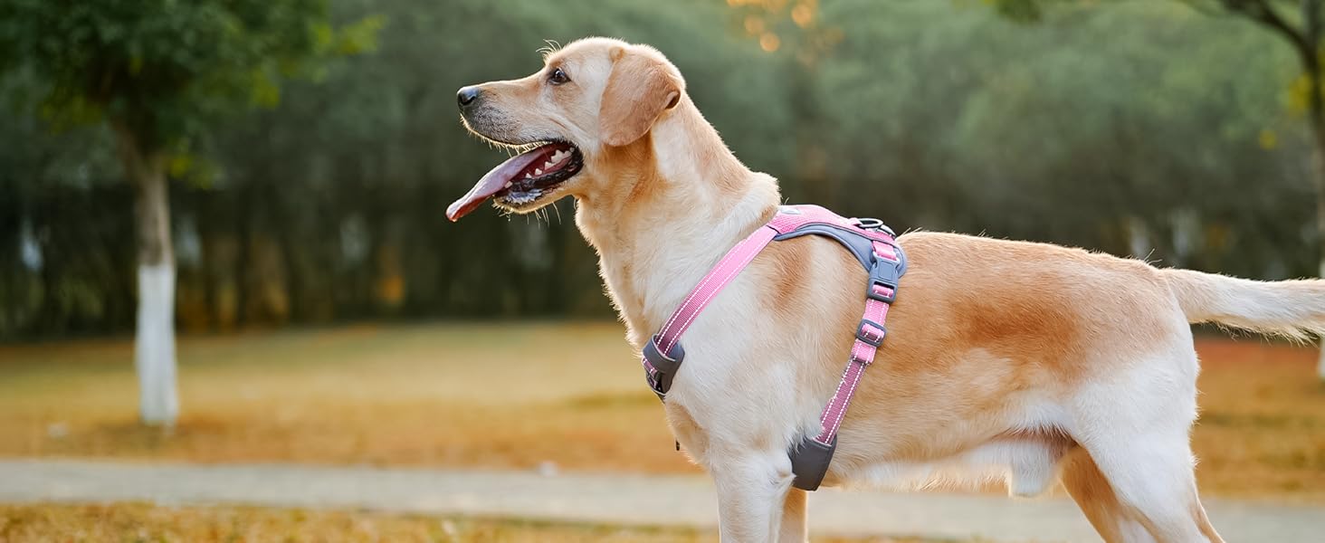 Шлейка для собак Huntboo Anti-Zug, без обмеження руху, для малих, середніх та великих собак, не тягне, світловідбиваюча, з 2 карабінами, не душить, регульована, для тренувань та бігу (Рожева, M)