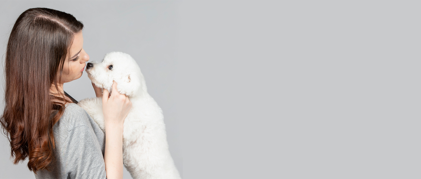 Елегантний нашийник та поводок для собак HALFSUMO з діамантами, з м'якого велюру та шкіри, регульований, для малих та середніх порід, рожевий колір