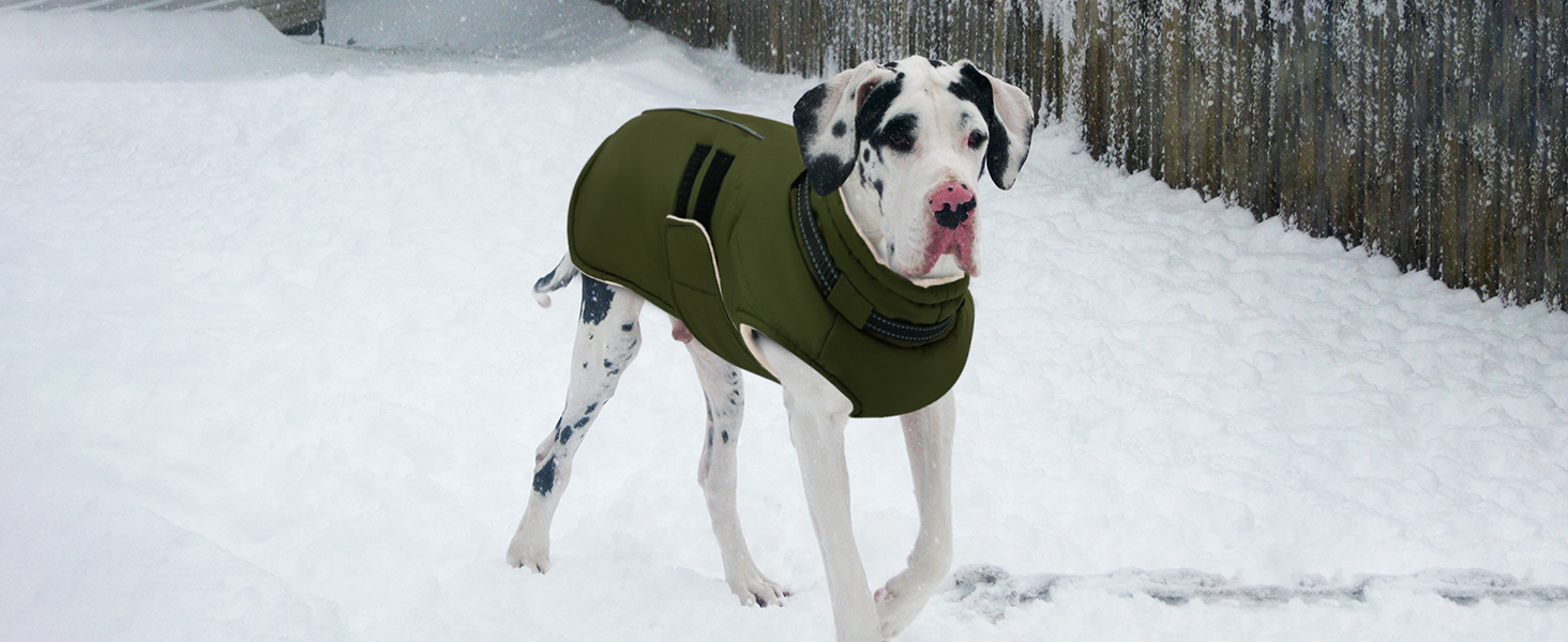 Зимова куртка для собак IECOii, тепла, водонепроникна, регульована, з відбиваючими елементами, фіолетова, XL