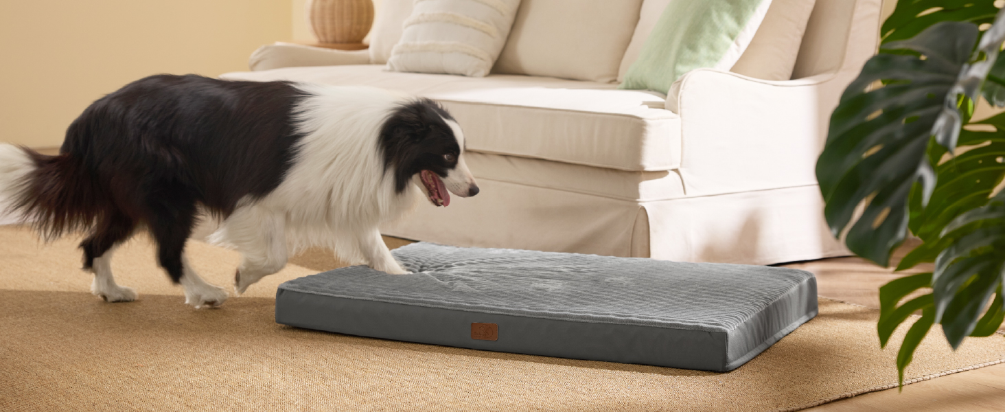 Крісло-лежанка для собак середніх порід BEDSURE - м'яке ліжко з антиковзною основою та знімним чохлом, сірого кольору, 89x56x7 см