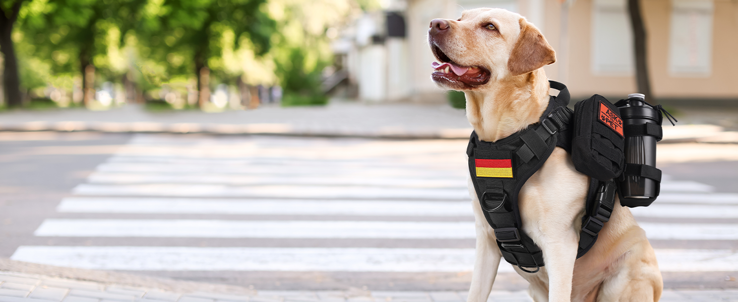 Шлейка для собак Rabbitgoo великих порід, без натягу, тактична з MOLLE, металеві пряжки, дихаюча, військова, чорна, L