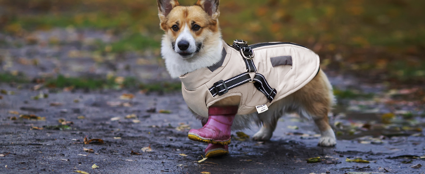 Зимові куртки для собак, теплі водонепроникні накидки для цуценят та собак середніх розмірів, з шлейкою, фіолетовий