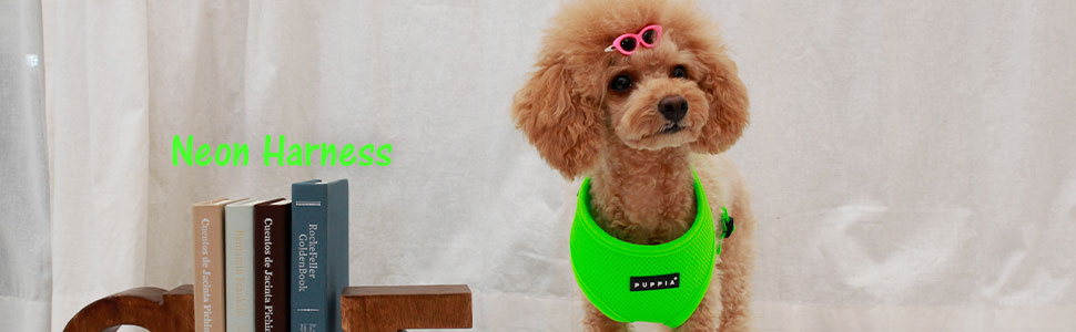 Лежанка для собак Puppia Papa - AC1325-OR (Рожева, XL) - Комфортна та якісна