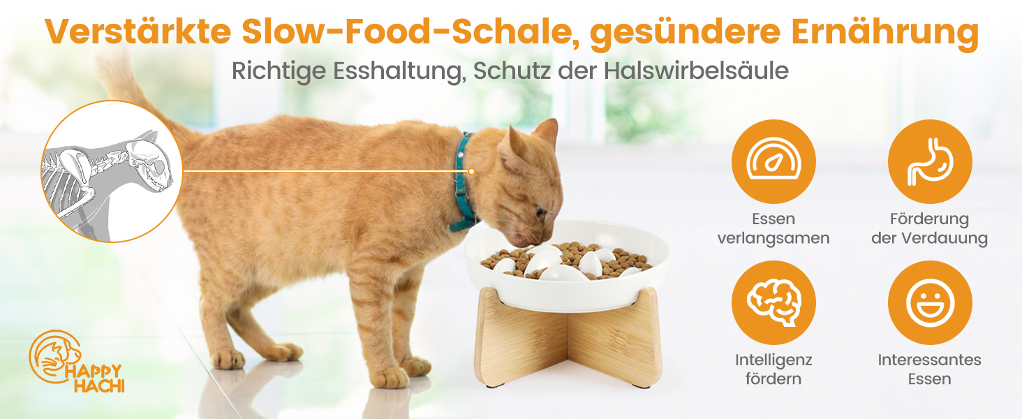 Миска для котів Happy Hachi з підняттям, керамічна, для повільного годування, протиковзаюча, для котів та маленьких собак (зелена)