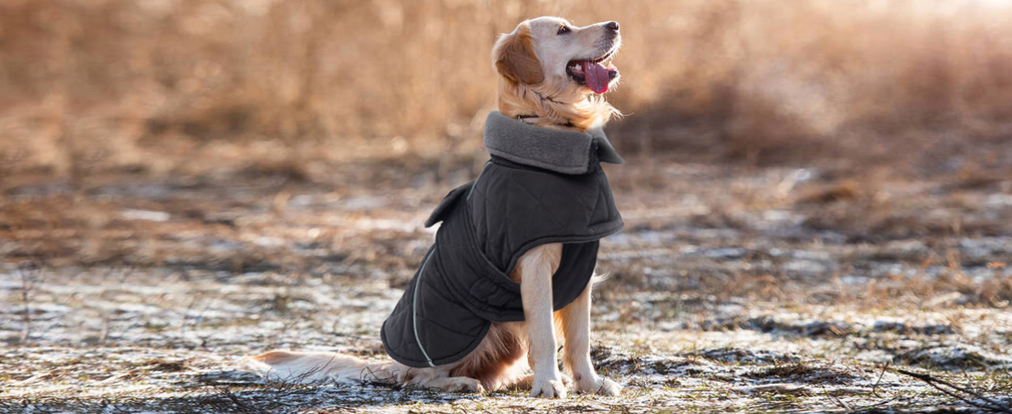 Куртка для собак Kuoser, зимова, водонепроникна, для середніх та великих собак, з флісовою підкладкою та блискавкою, L, червона
