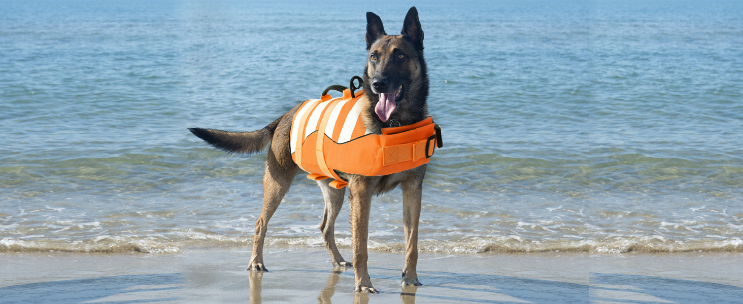 Спасальний жилет для собак, блакитний, розмір S, для джек-рассел, чихуахуа, французький бульдог, лабрадор - ASENKU