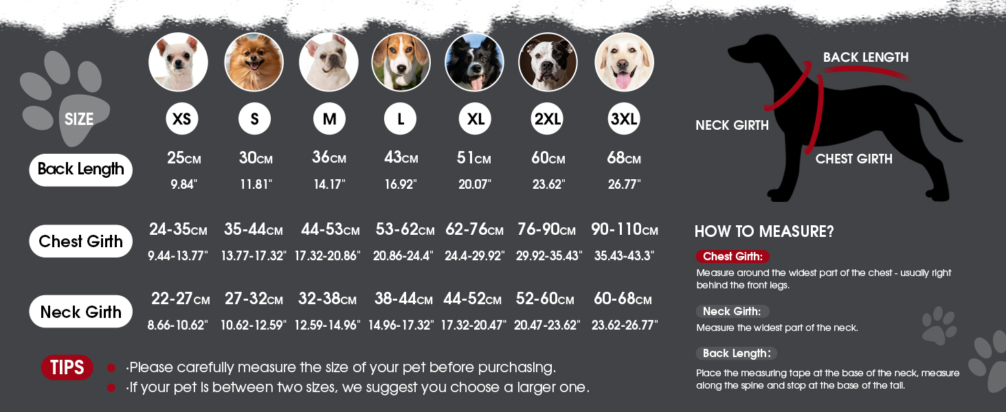 Зимовий теплий дощовик для собак XS, флісова куртка, дощовик для собак, 2 в 1, водонепроникний, вітрозахисний, з отвором для повідка, зелений