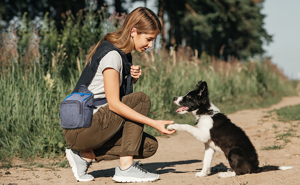 Сумка для ласощів для собак ALLSOPETS з інтегрованим диспенсером для відходів та декількома кишенями, біла