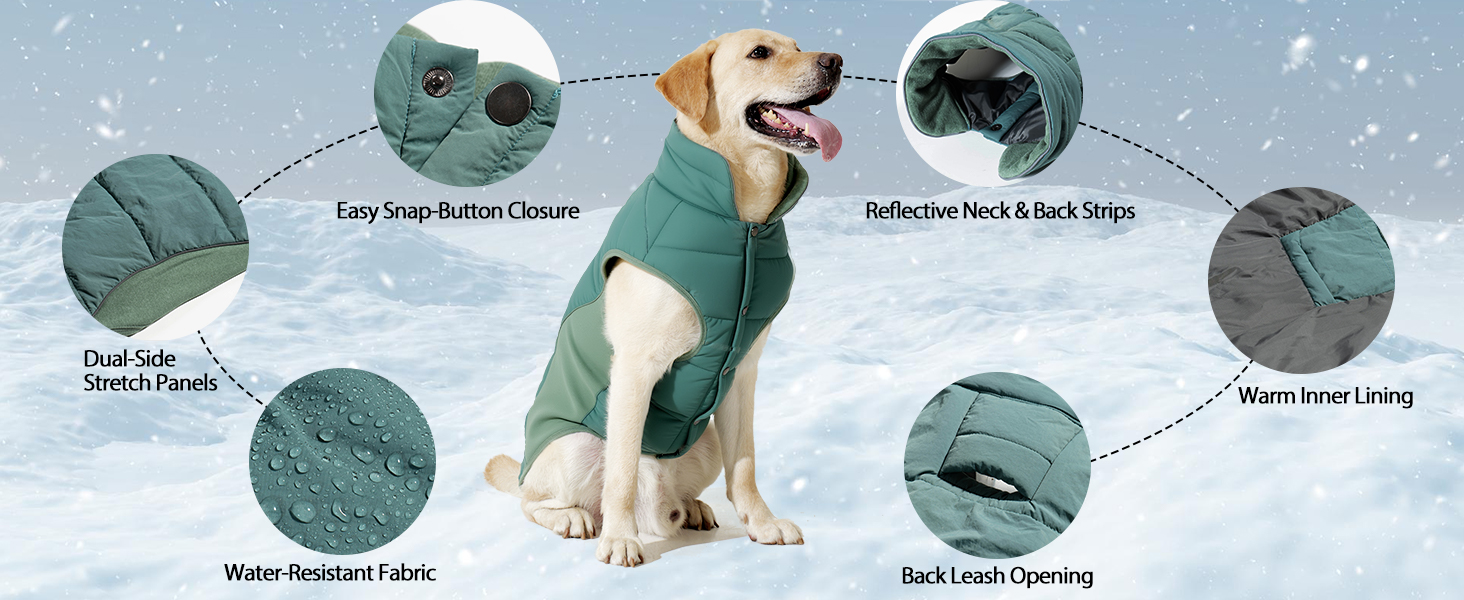 Водонепроникний собачий дощовик/куртка Poiinvc з отвором для шлейки, світловідбиваючий, теплий, для собак S-XXXL, зелений