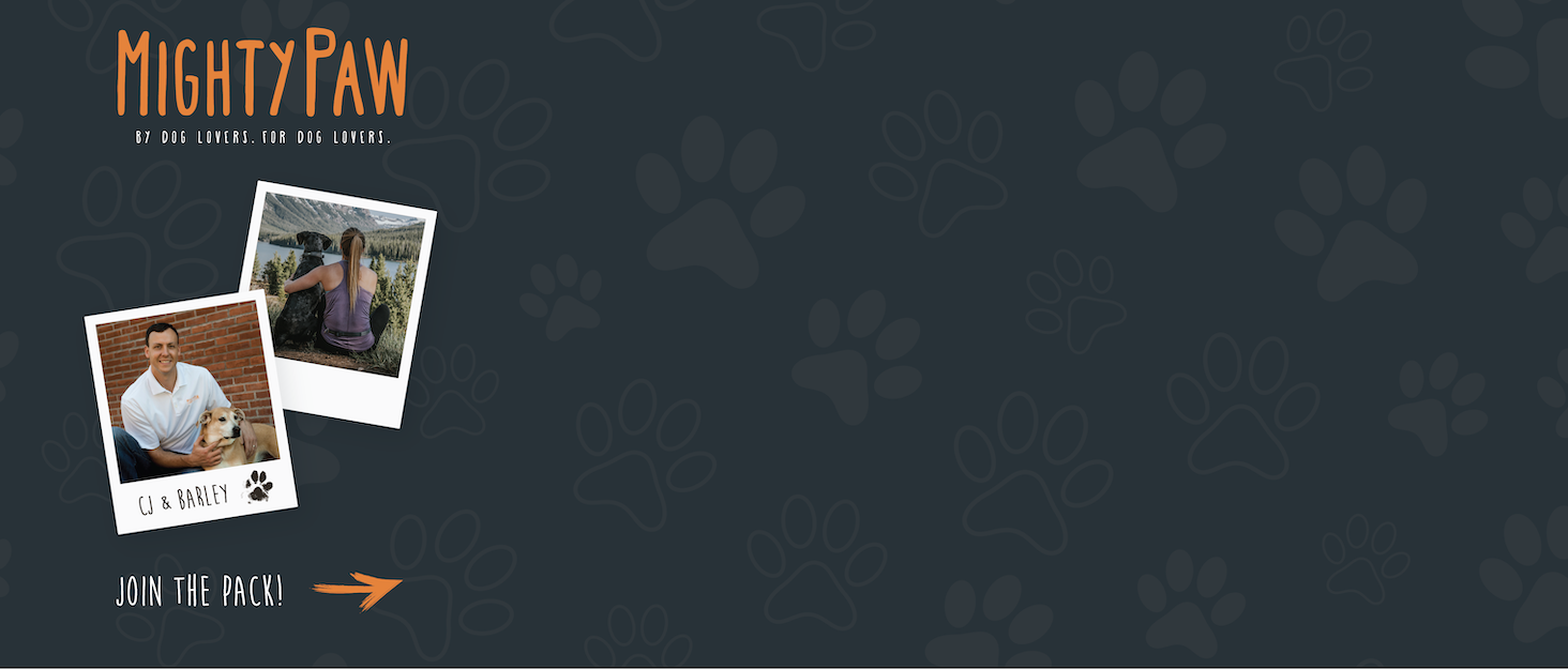 Рулетка-поводок Mighty Paw з вбудованим тримачем для пакетів, 40,6 см, для малих, середніх і великих собак, з липучкою для швидкого контролю
