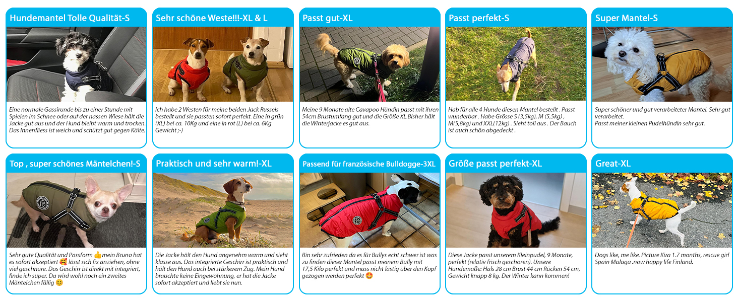 Зимова жилетка для собак, тепла жилетка для тварин, безрукавка для собак, жилетка для собак XL, зелена