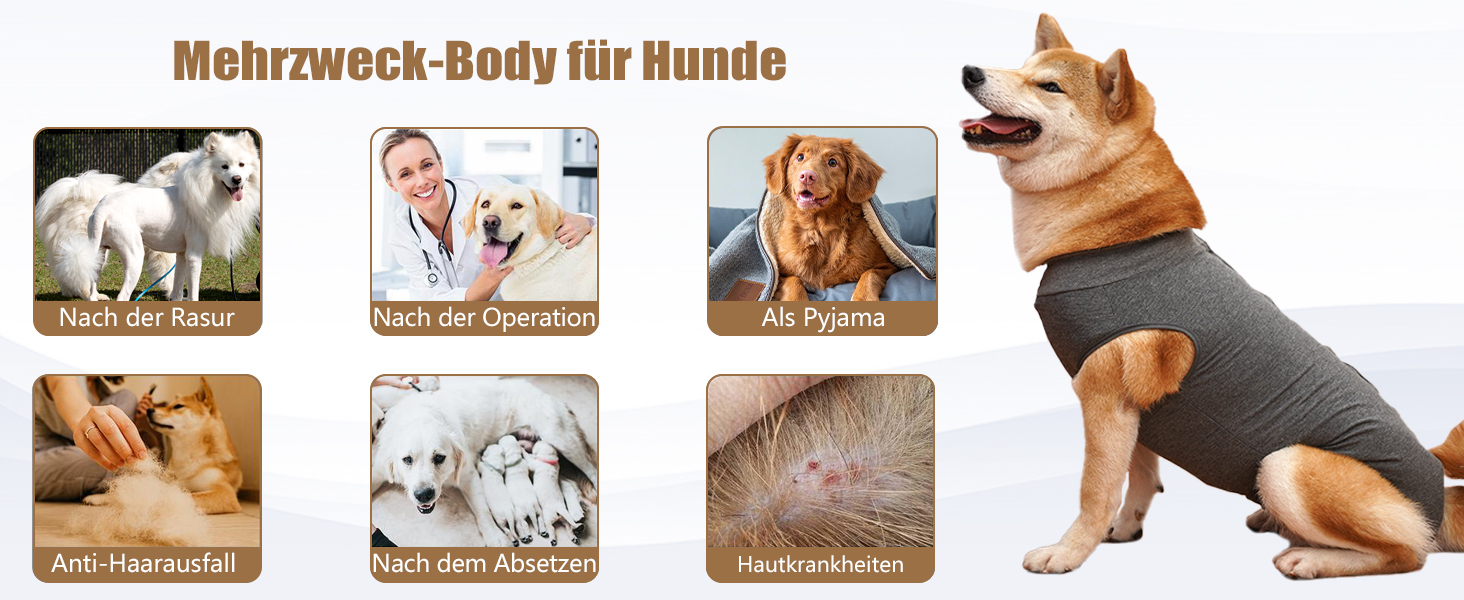 Захисний костюм для собак після кастрації Heywean, сірий, M - костюм для відновлення після операції