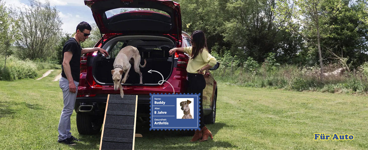 Рампа для собак та котів Hunderampe - складана, регульована, до 90 кг (внутрішнє використання до 35 кг)