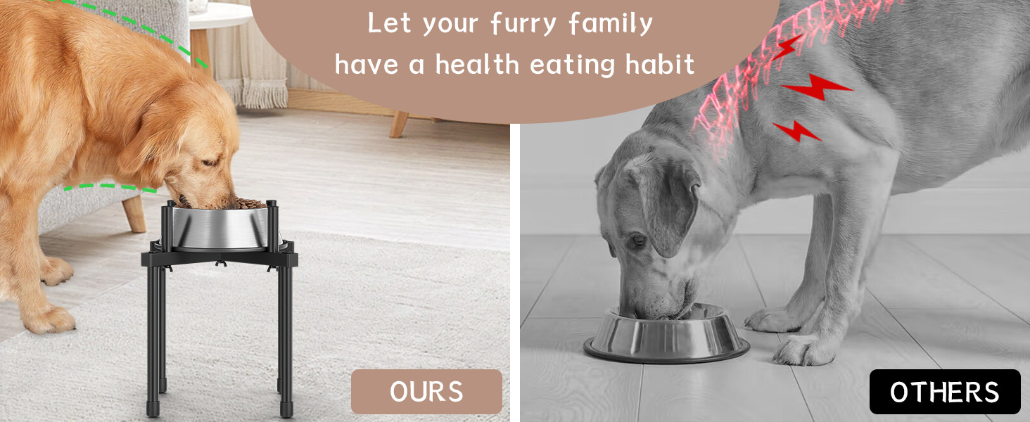 Підставка для води для собак Jane Eyre – регульована, піднята, для великих та середніх собак, антиковзаюча, без миски. Матеріал: L-STEEL