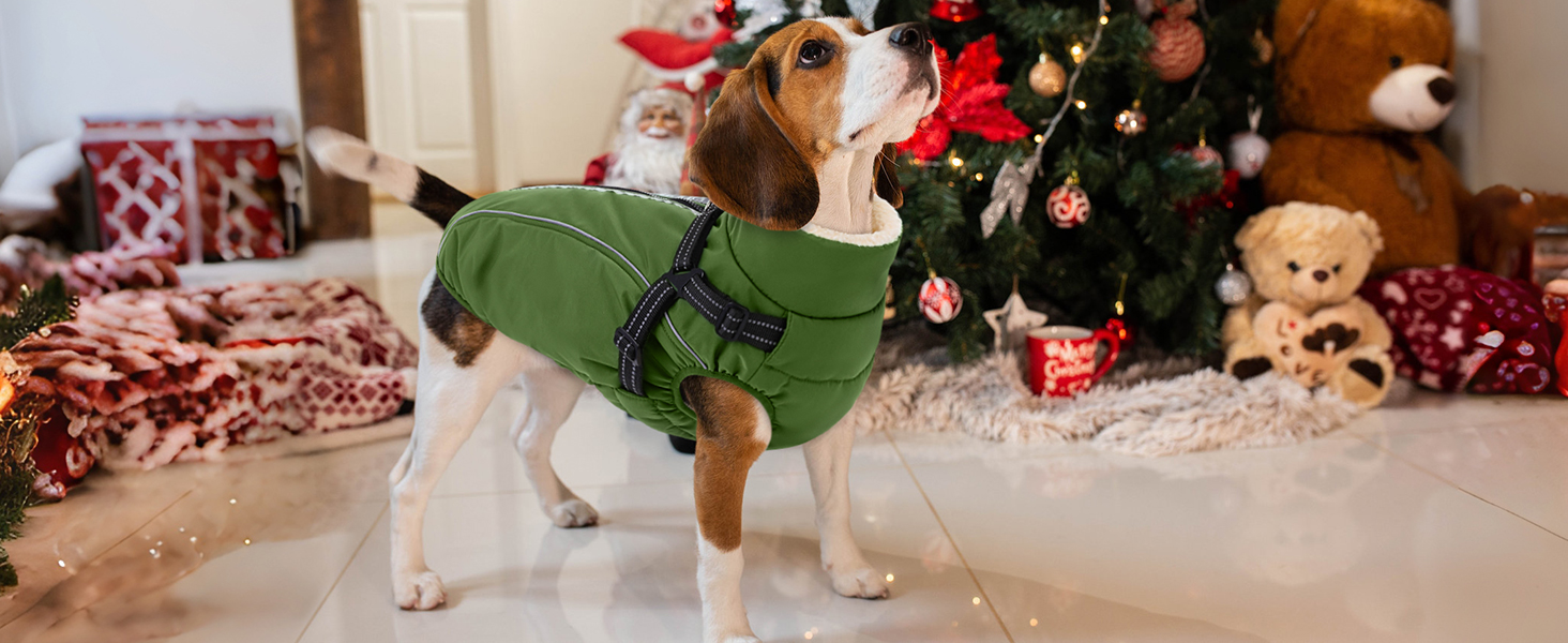 Теплий зимовий одяг для собак Citétoile: куртка з блискавкою, вітрозахисна, з відбиваючими смугами та нагрудником (сірий, M)