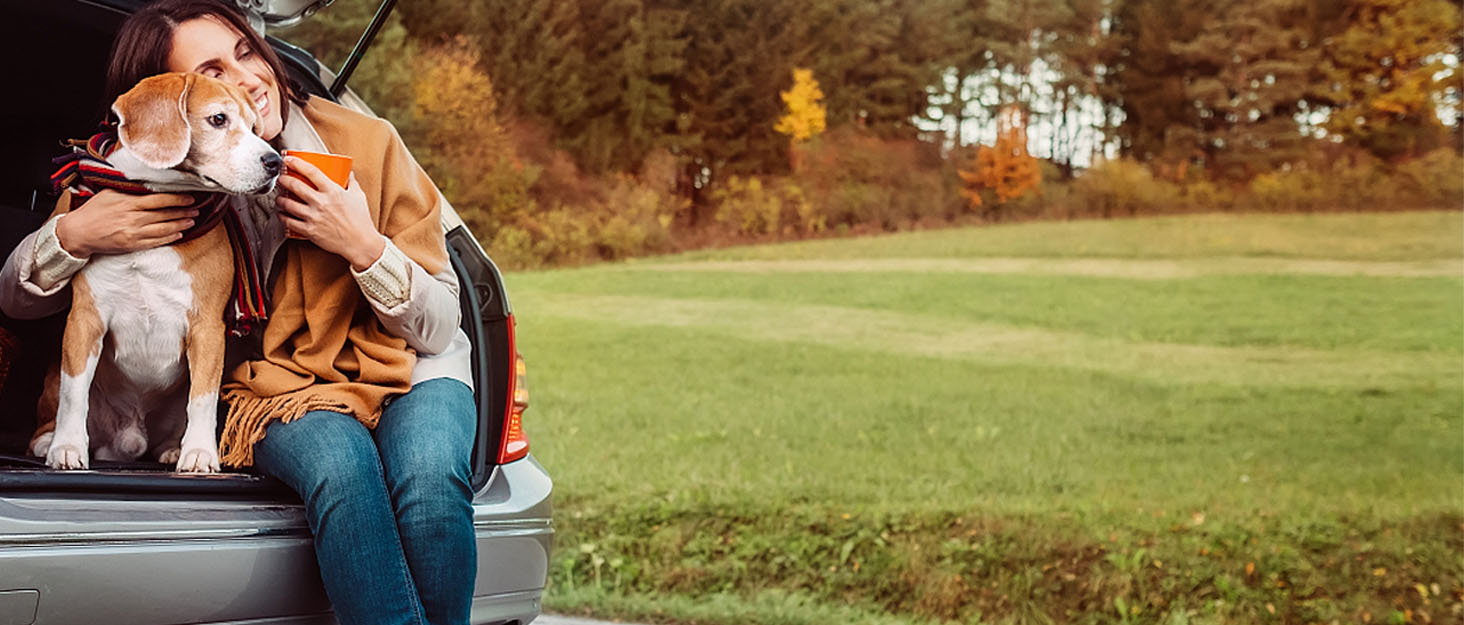 Рампа для собак до автомобіля, складана, до 115 кг, з антиковзким килимком, для вантажівок та SUV, великі та середні породи