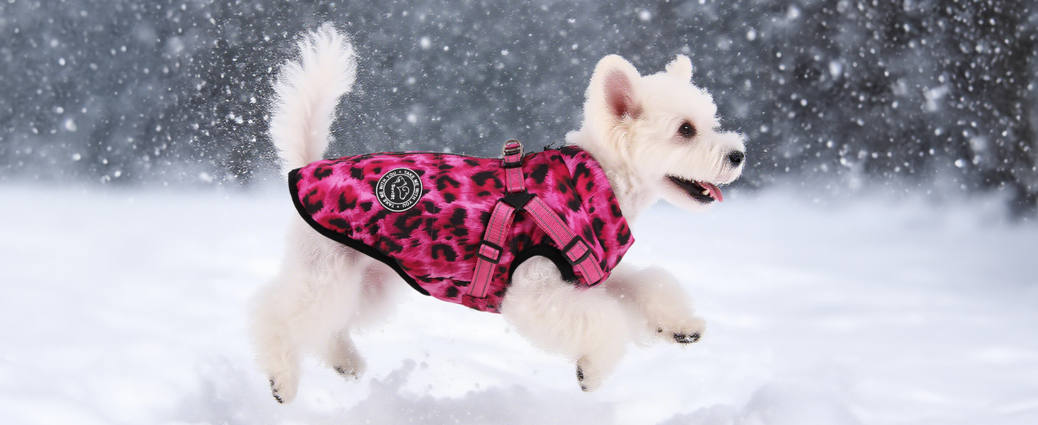 Водонепроникна куртка для собак на зиму з інтегрованим шлейкою та блискавкою. Теплий зимовий костюм для цуценят з леопардовим принтом, червоний (M)