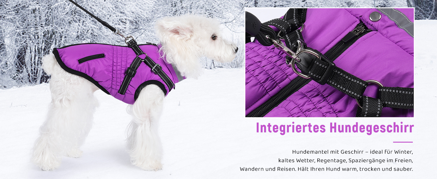 Теплий зимовий одяг для собак та котів - куртка, водонепроникний, зелений (XXL, червоний)