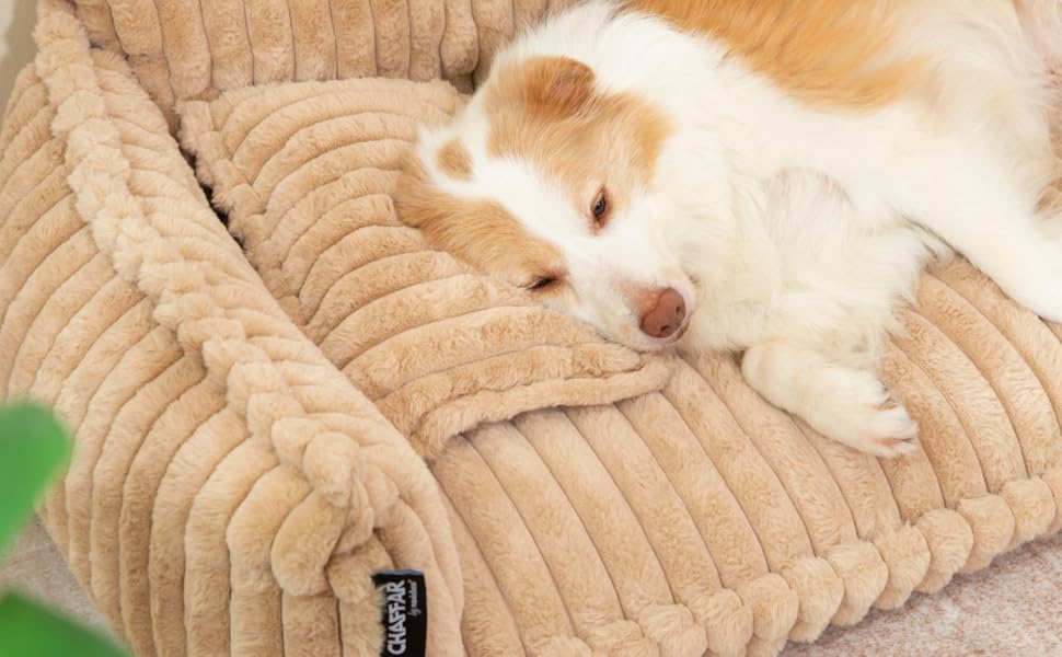 Диванчик для домашніх тварин Noviclass® Chaffar: ортопедичний диван для котів та собак, сучасний стиль, матеріал - Cord, розміри (Верблюжий, XXL (140см))