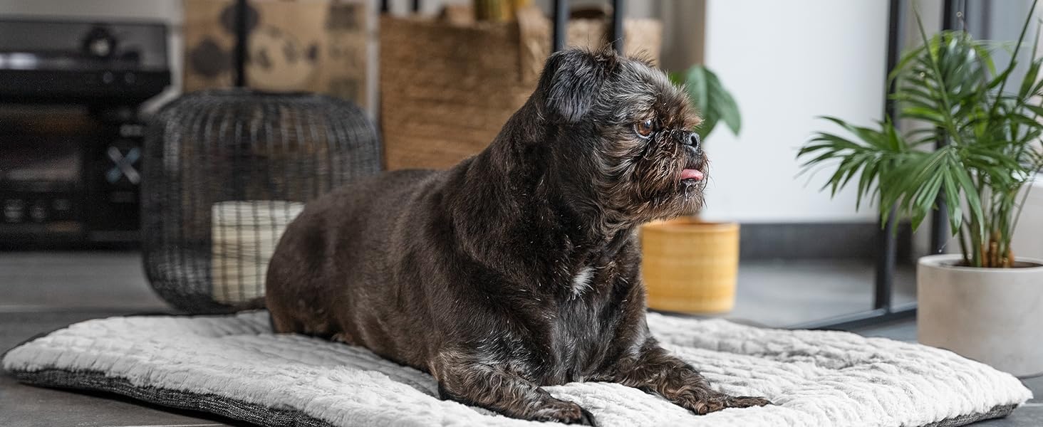 Двостороння ковдра TrendPet Heaven для собак і кішок, сіра