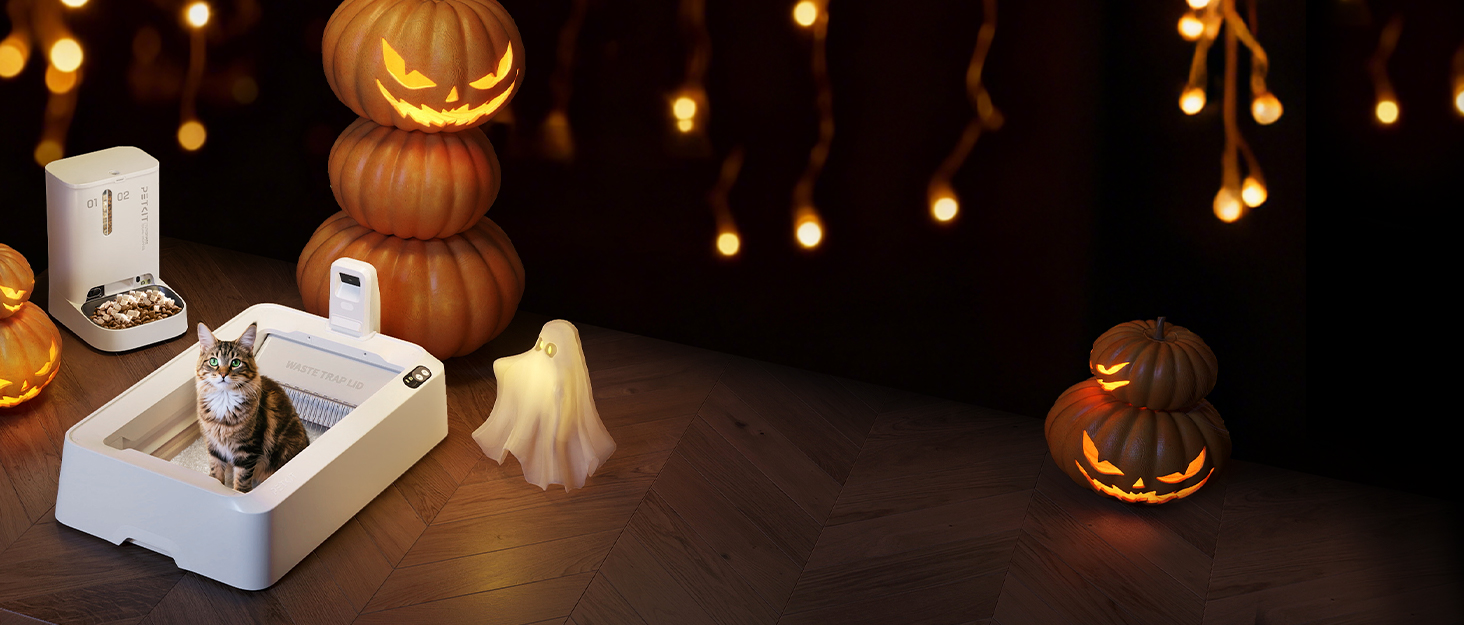 PETKIT CYBERTAIL: Набір з 2 металевих мисок з нержавіючої сталі Fresh Nano