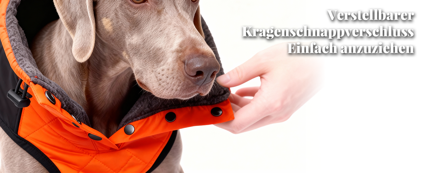 Зимовий теплий куртка для собак, непромокаємий, вітрозахисний, з регульованою застібкою, оранжево-чорний (XS, 43.2-50.8 см)