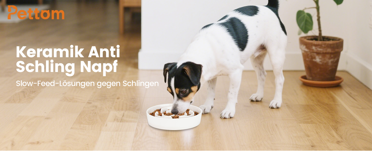 PETTOM Миска для собак протиковтання, кераміка, Ø 21 см, для великих та малих собак, Slow Feeder, білий