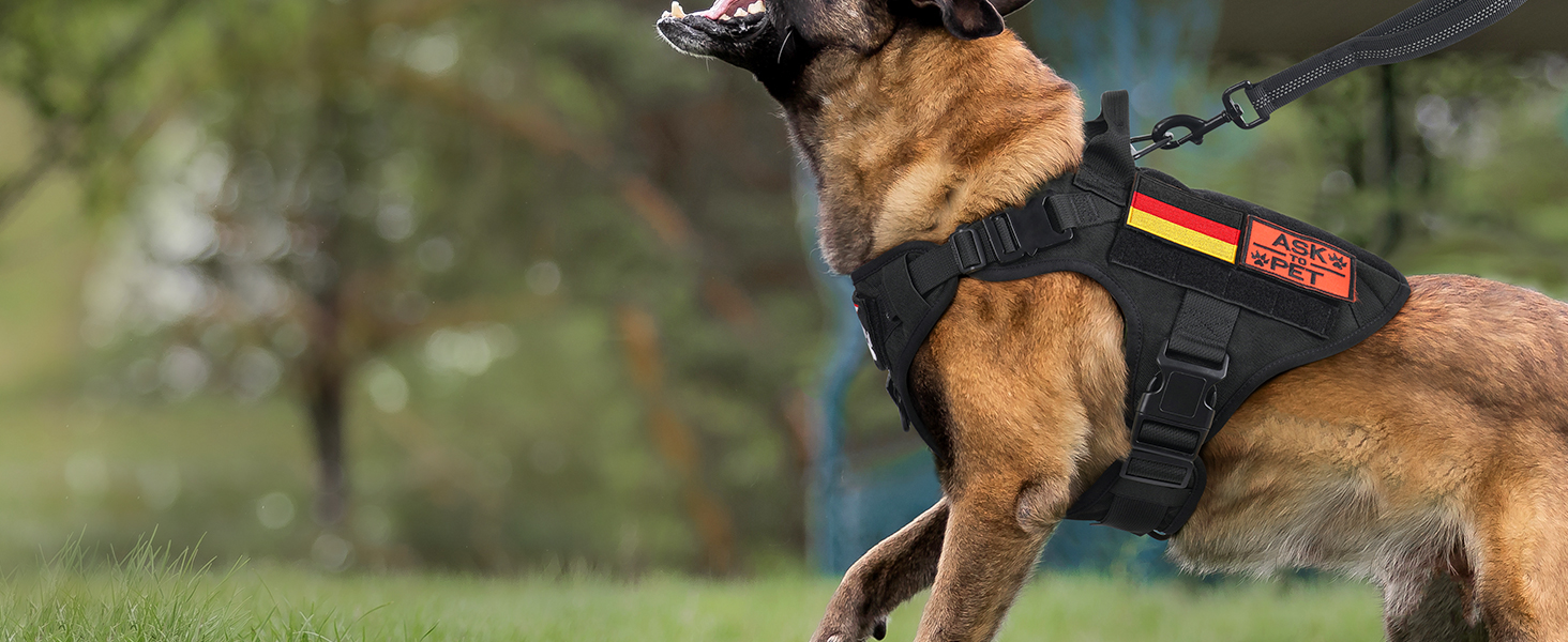 Шлейка для собак Rabbitgoo великих порід, без натягу, тактична з MOLLE, металеві пряжки, дихаюча, військова, чорна, L