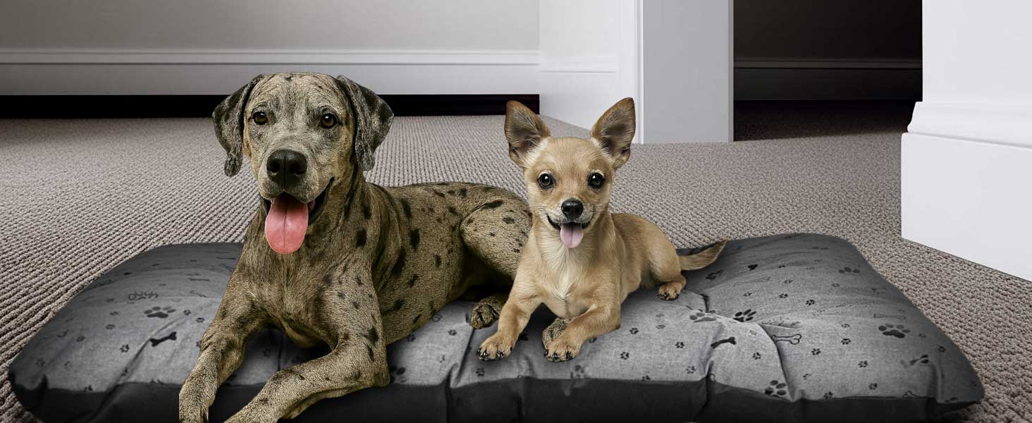 Кінг Дог: Водонепроникне ліжко для собак XL 120x80 см. Зручне, миється, з оксфордської тканини. Підходить для дому та вулиці. Графітовий колір.