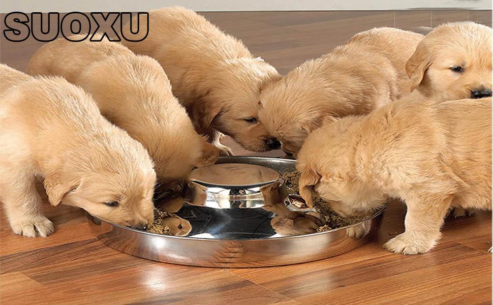 Набір мисок для цуценят та собак з нержавіючої сталі (30 см, 2 шт.)