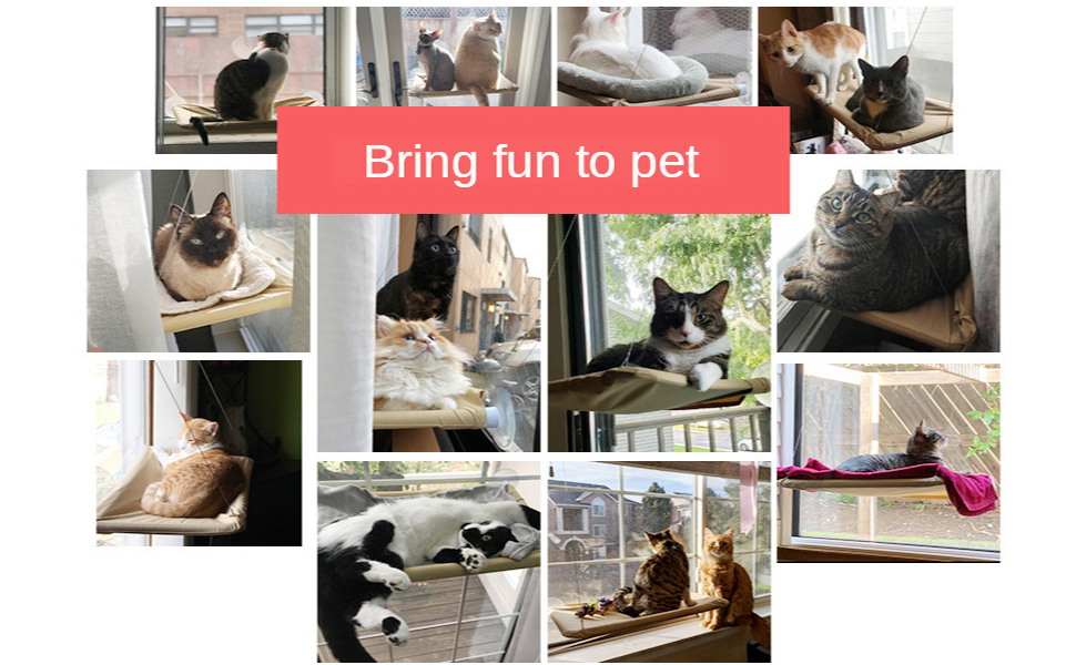 Крісло-гамак для котів JinRui-T на вікно, безпечне сонячне ліжко, міцні присоски, кріплення на вікно, до 13,6 кг (Хакі)