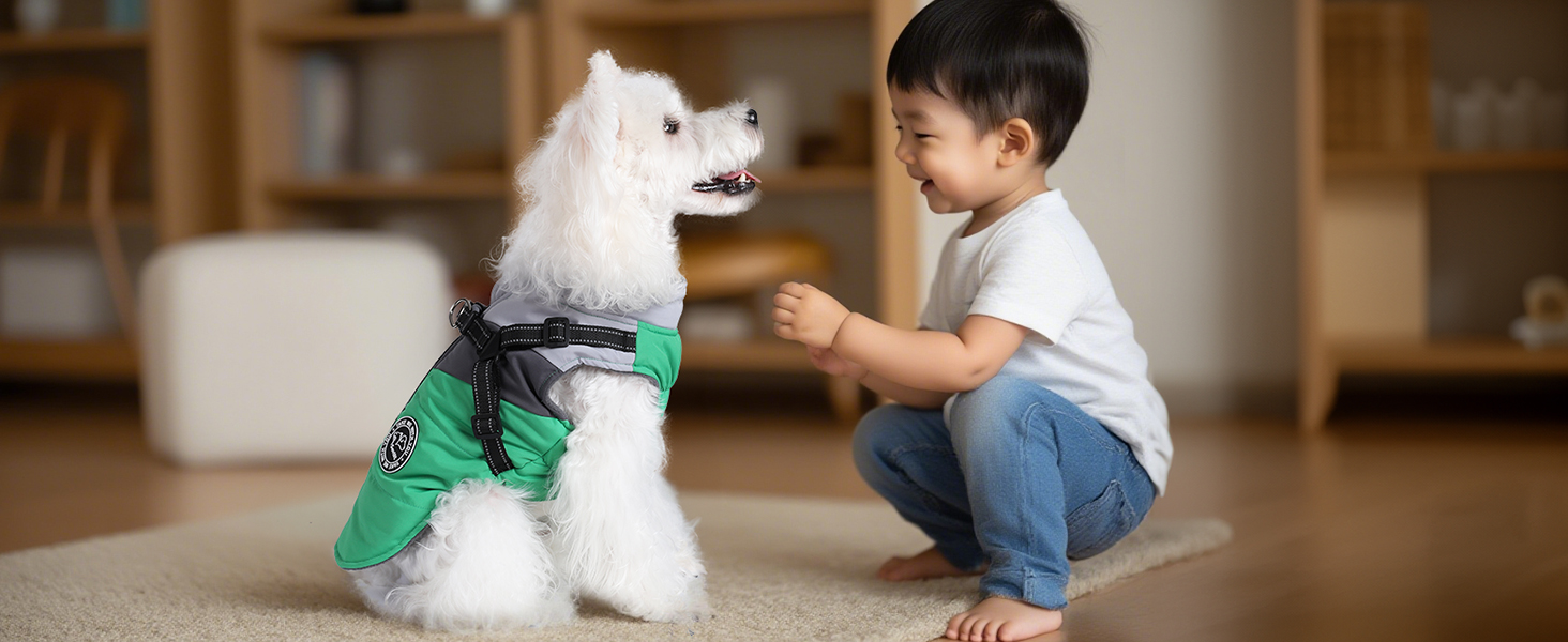 Водонепроникний зимовий одяг для собак Savlot: тепла куртка та вітрозахисний костюм для маленьких та середніх собак з шлейкою. Відображаючий дизайн (L, жовтий + сірий)