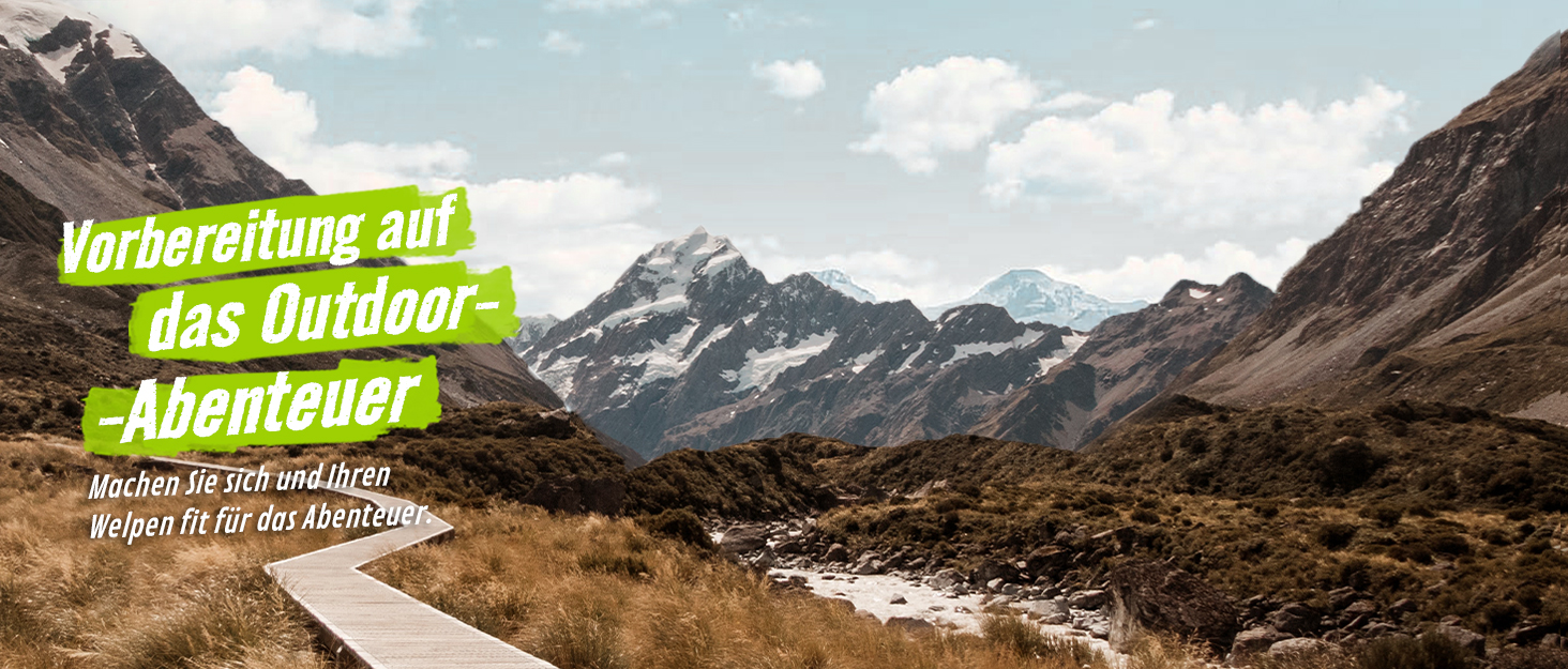 Рюкзак для тварин Pecute з сітчастим вікном, переноска для кота/собаки, дихаюча та легка, водонепроникна, сірий, M