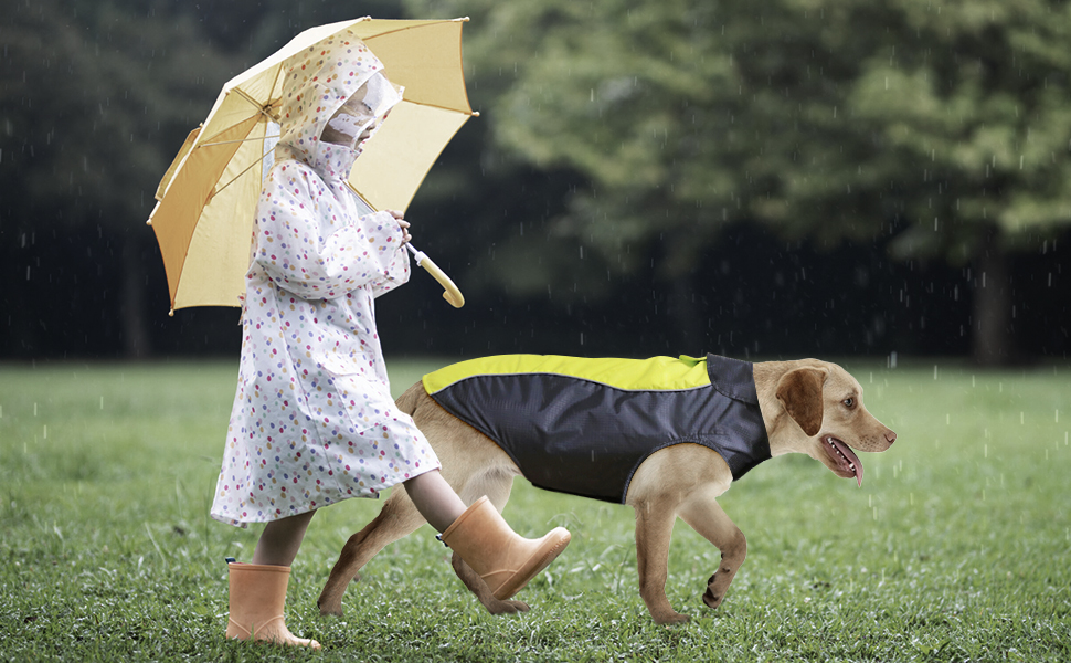 Водонепроникний теплий дощовик для собак - регульований жилет для собак з відбиваючими елементами. Підходить для малих, середніх та великих собак (зелений, X-Large)