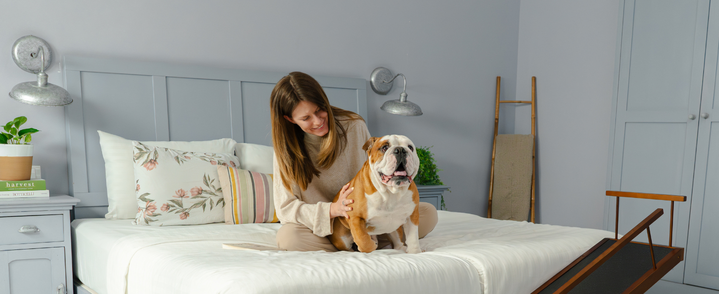 Сходинки для собак PRIORPET з берези з захисним бар'єром - регульована висота до 94.5 см - складаються - антиковзке покриття - для собак до 23 кг - колір: горіх