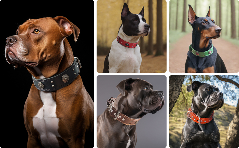 Нашийник для собак з натуральної шкіри, 5 см, чорний, розмір M (46.5-57.5 см)