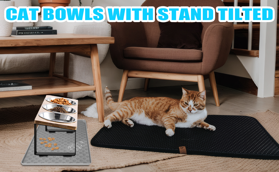 Підвищені годівниці для котів 3 шт. з нержавіючої сталі, 15° нахил, з підставкою з силікону та металевим кріпленням. Миска для корму та води для котів та маленьких собак