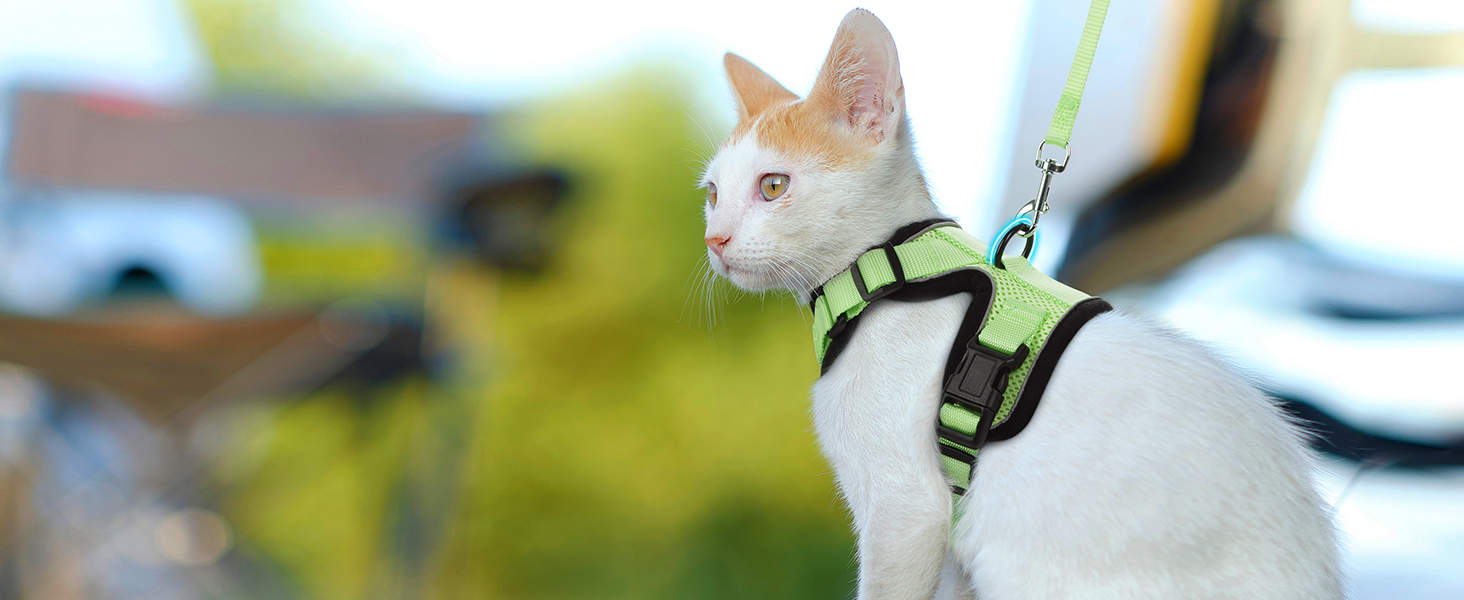 Шлейка для кота Rabbitgoo з повідком, м'яка, безпечна, регульована, зелена, розмір M (XXS, 1 шт.)